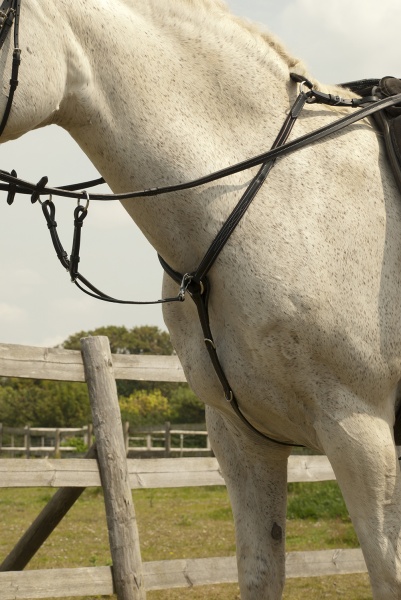 Rhinegold 'Elegance' Stitched Breastplate